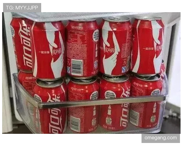 哈兰德冰箱里只放蛋白粉和冰块，连瓶可乐都找不到